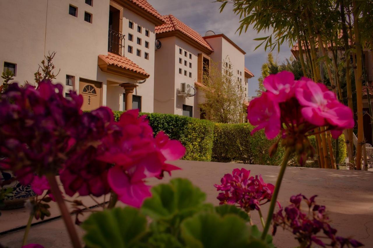 Suites Cervantes Chihuahua Exterior photo